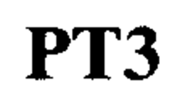 PT3 trademark