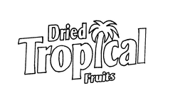 DRIED TROPICAL FRUITS trademark