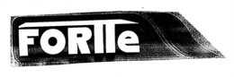 FORTTE trademark