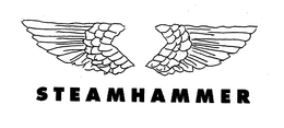 STEAMHAMMER trademark