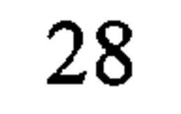 28 trademark