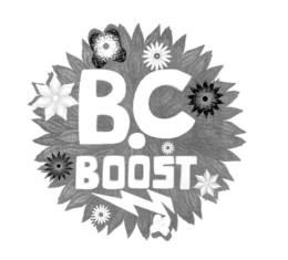 B.C BOOST trademark