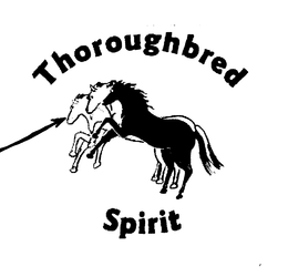 THOROUGHBRED SPIRIT trademark