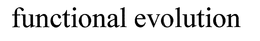 FUNCTIONAL EVOLUTION trademark