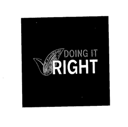 DOING IT RIGHT trademark