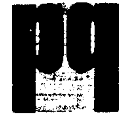 PP trademark