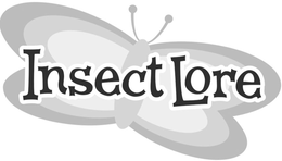 INSECT LORE trademark