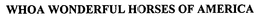 WHOA WONDERFUL HORSES OF AMERICA trademark