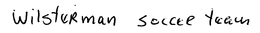 WILSTERMAN SOCCER TEAM trademark