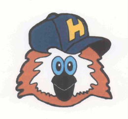 H trademark