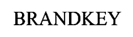 BRANDKEY trademark