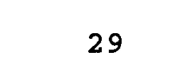 29 trademark