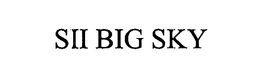 SII BIG SKY trademark