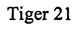 TIGER 21 trademark
