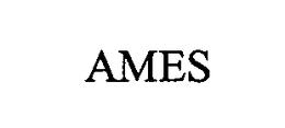 AMES trademark