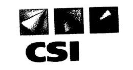 CSI trademark