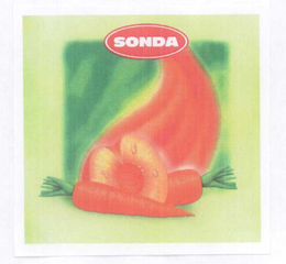 SONDA trademark