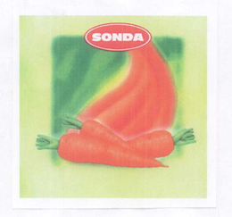 SONDA trademark
