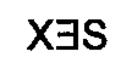 XES trademark