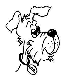 PP trademark
