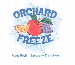 ORCHARD FREEZE PURE FRUIT. NATURALLY DELICIOUS. trademark