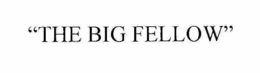 "THE BIG FELLOW" trademark