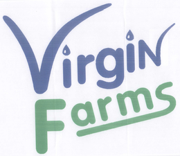 VIRGIN FOODS trademark