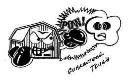GUARANTEED TOUGH POW! trademark