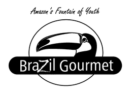 AMAZON'S FOUNTAIN OF YOUTH BRAZIL GOURMET trademark
