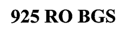 925 RO BGS trademark