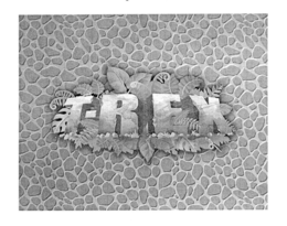 T-REX trademark
