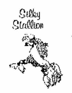 SILKY STALLION trademark
