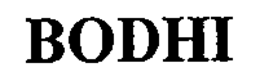 BODHI trademark
