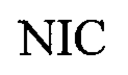 NIC trademark