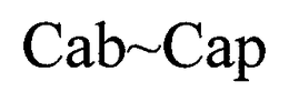 CAB~CAP trademark