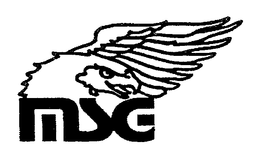 MSG trademark