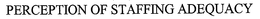 PERCEPTION OF STAFFING ADEQUACY trademark