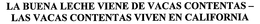 LA BUENA LECHE VIENE DE VACAS CONTENTAS- LAS VACAS CONTENTAS VIVEN EN CALIFORNIA trademark