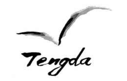TENGDA trademark