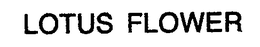 LOTUS FLOWER trademark