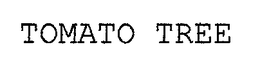 TOMATO TREE trademark