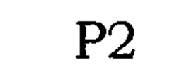 P2 trademark