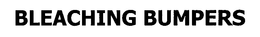 BLEACHING BUMPERS trademark