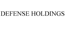 DEFENSE HOLDINGS trademark