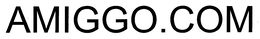 AMIGGO.COM trademark