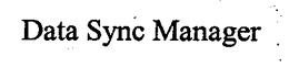 DATA SYNC MANAGER trademark