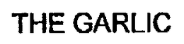 THE GARLIC trademark
