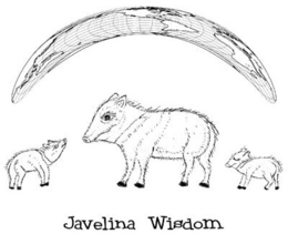 JAVELINA WISDOM trademark