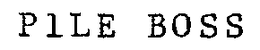 PILE BOSS trademark
