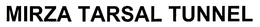 MIRZA TARSAL TUNNEL trademark